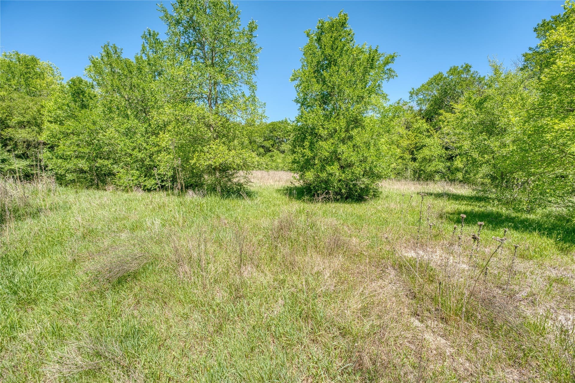 3 acres in Hunt County featured view