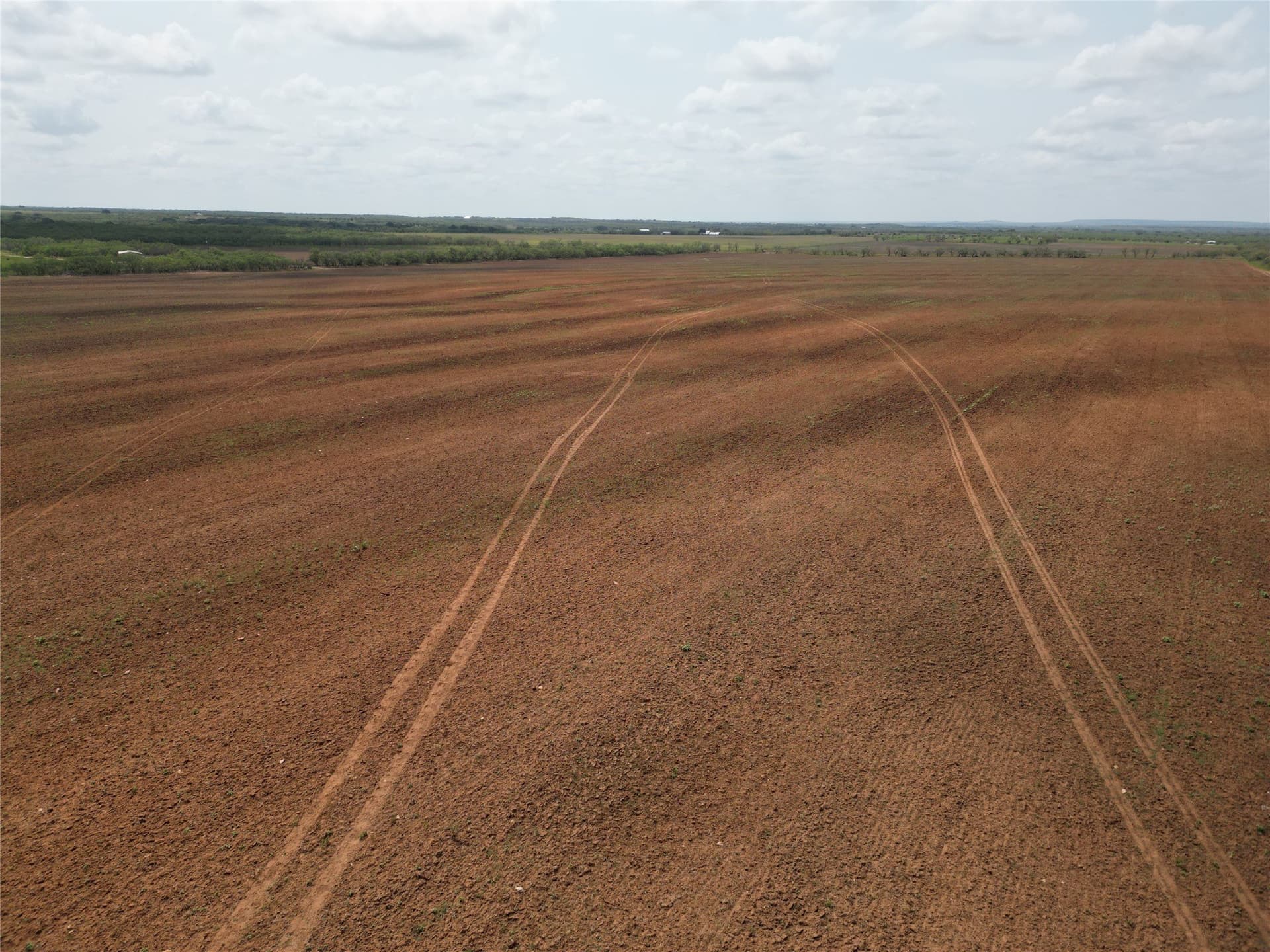 17.5 acres in Taylor County - photo 3