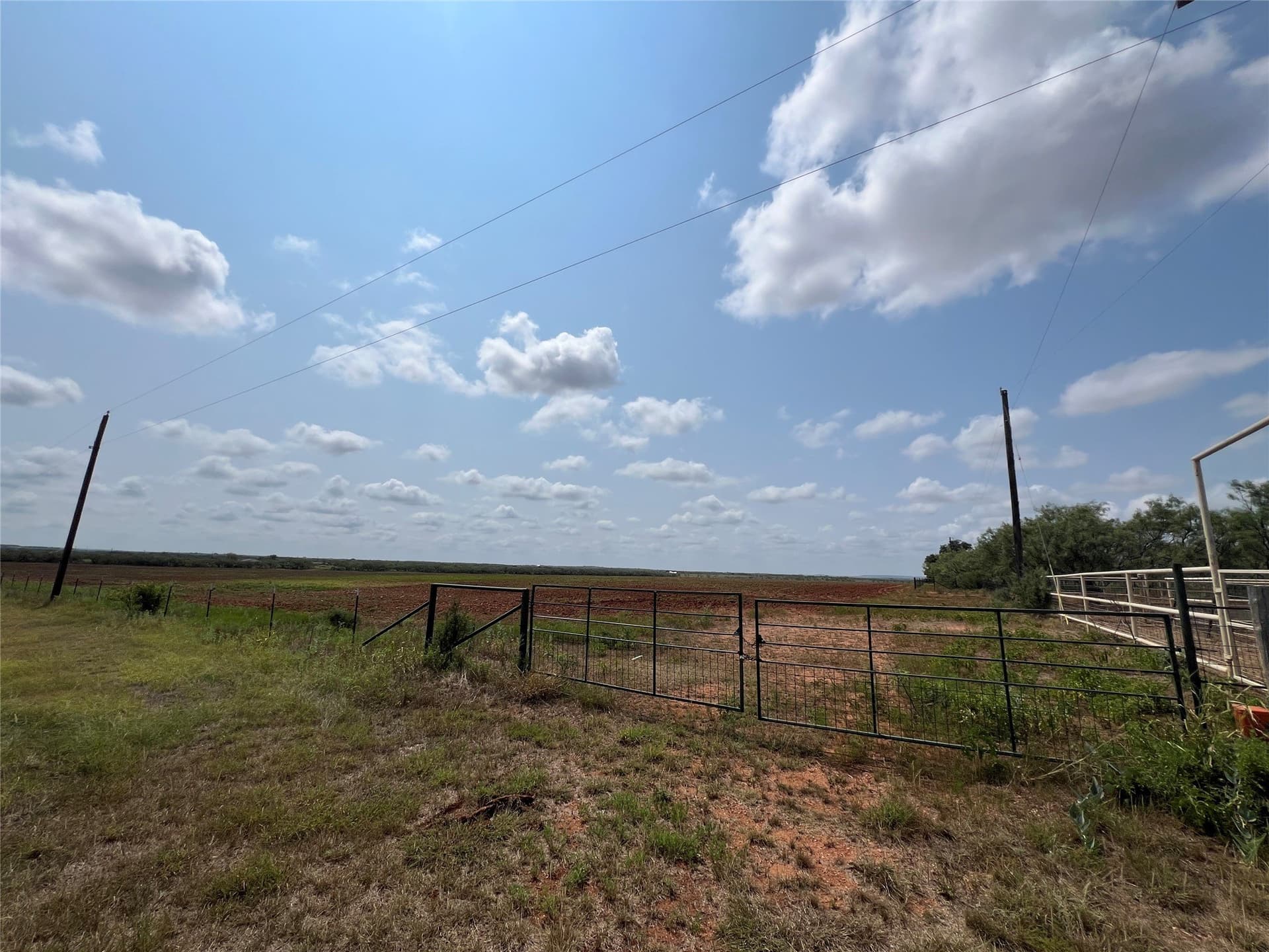17.5 acres in Taylor County - photo 5