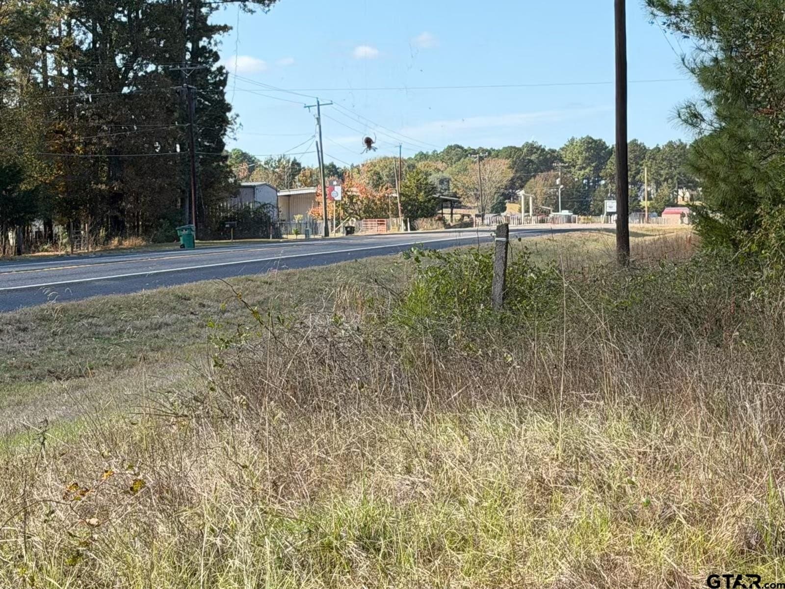 26.9 acres in Smith County gallery image 2