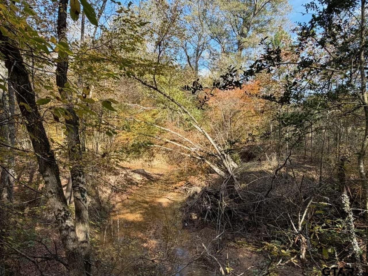 26.9 acres in Smith County gallery image 3