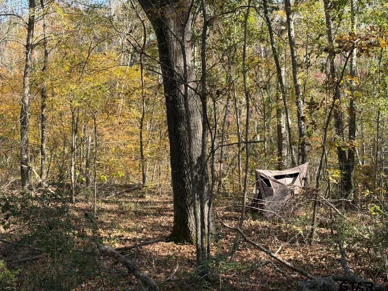 26.9 acres in Smith County featured view