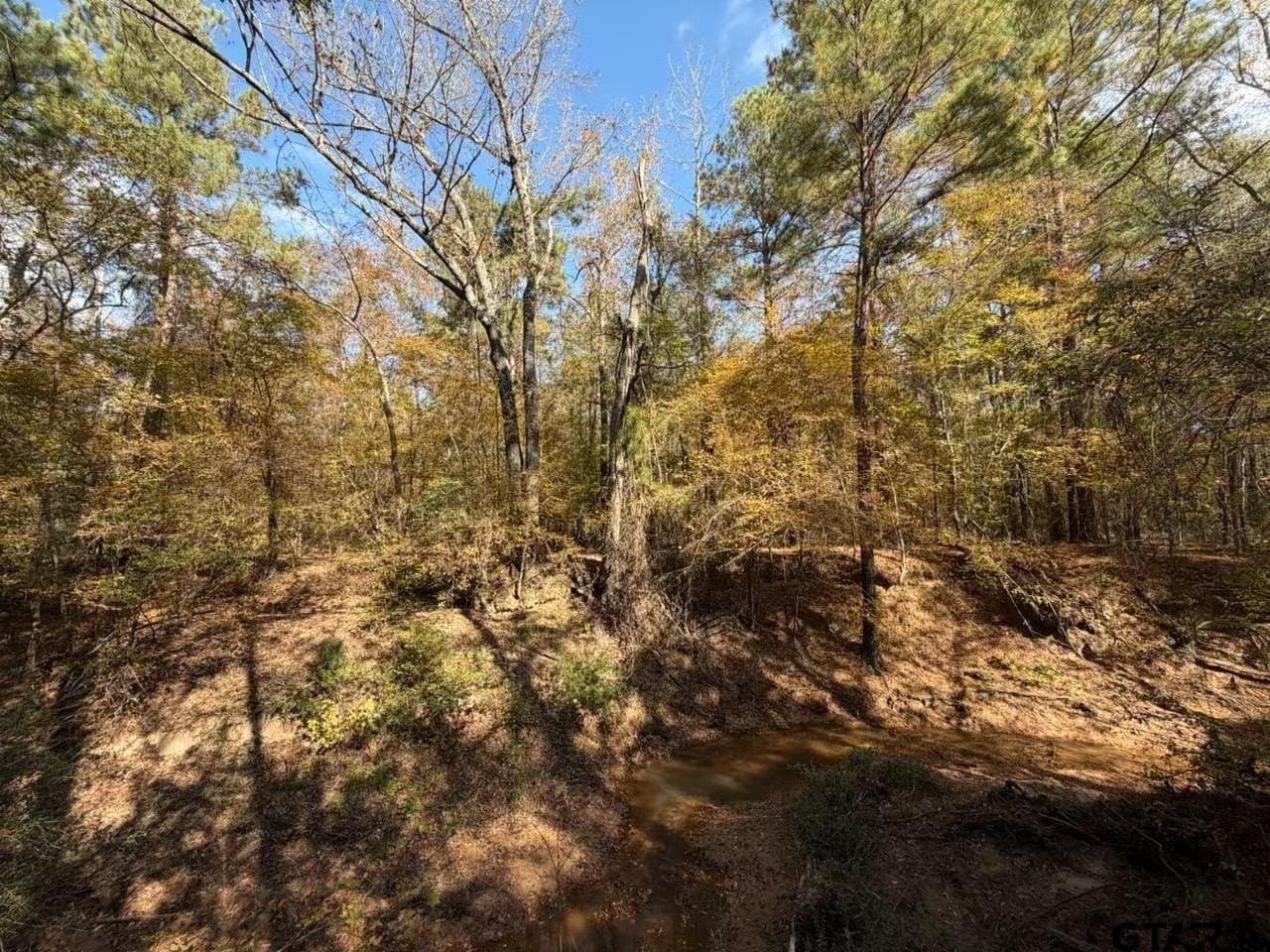 26.9 acres in Smith County gallery image 4