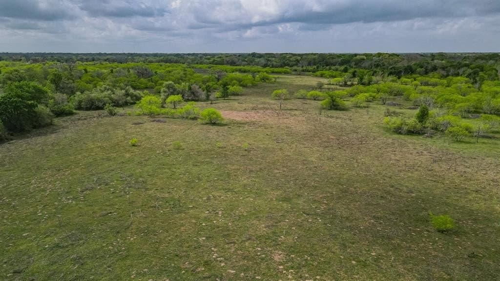 381 acres in Gonzales County gallery image 4