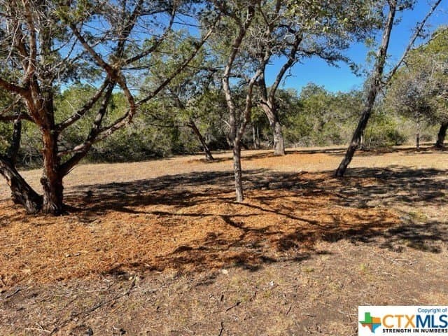14.46 acres in Hays County featured view
