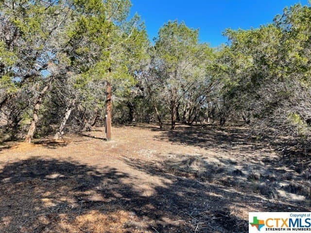 14.46 acres in Hays County gallery image 4