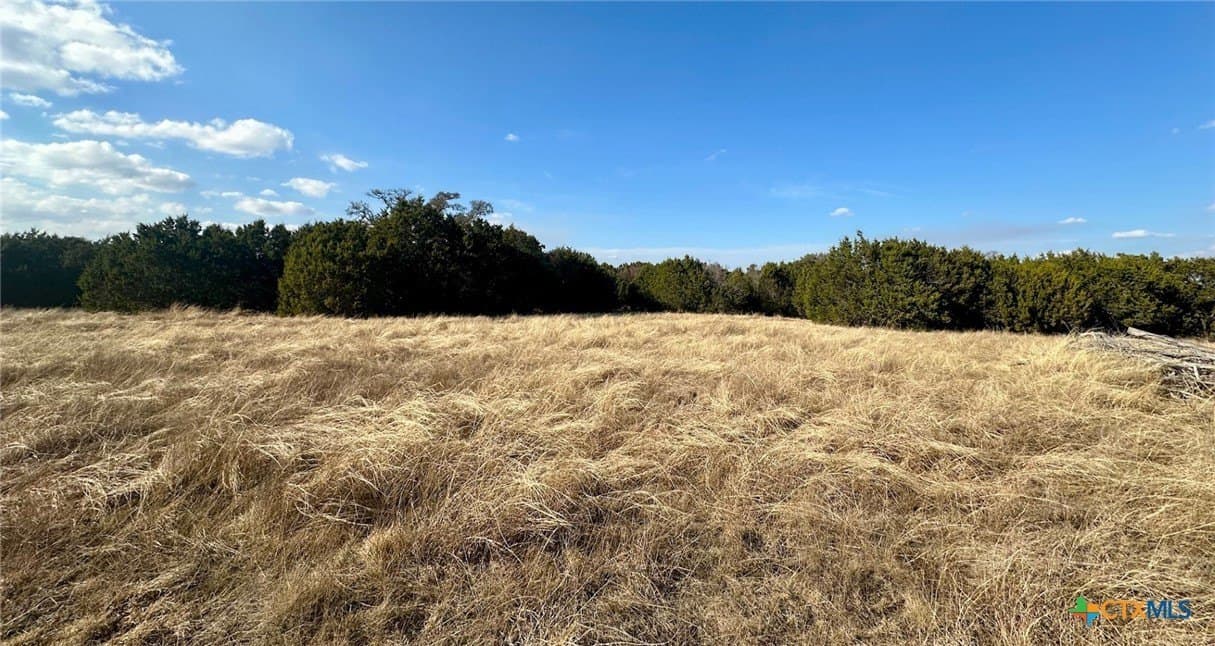 110 acres in Coryell County featured view