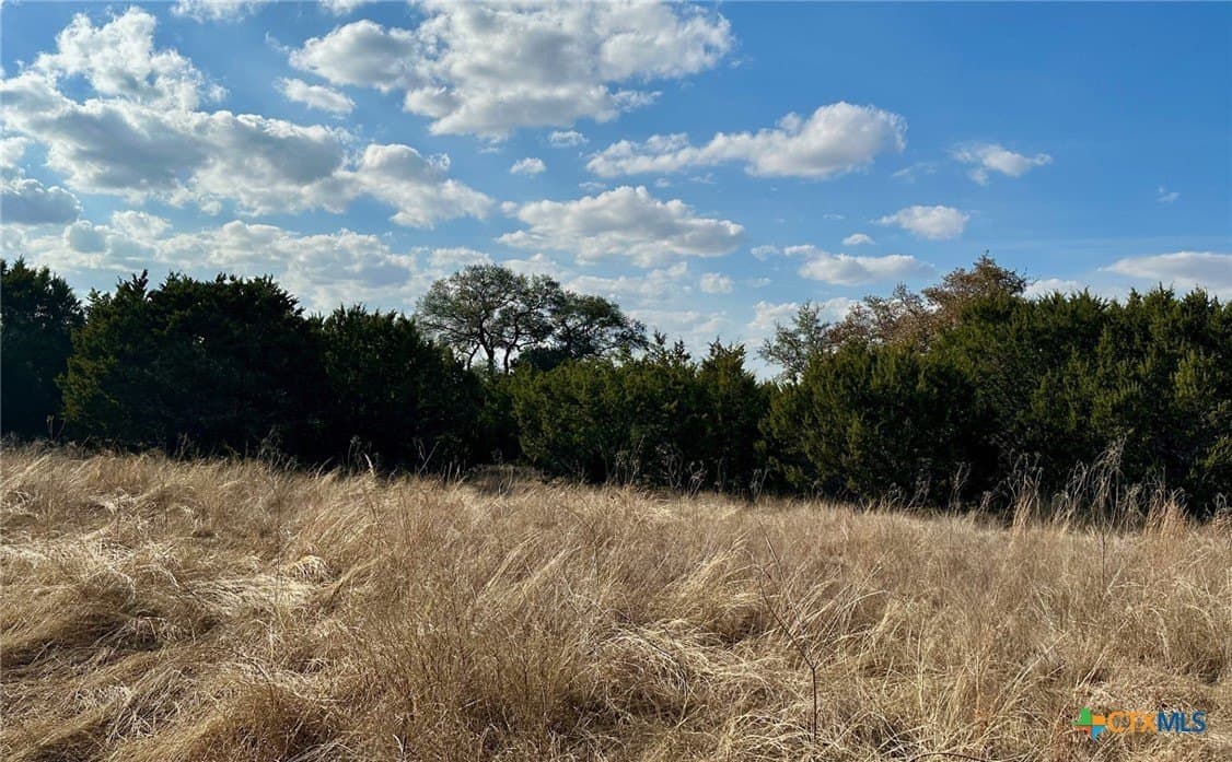 110 acres in Coryell County - photo 6