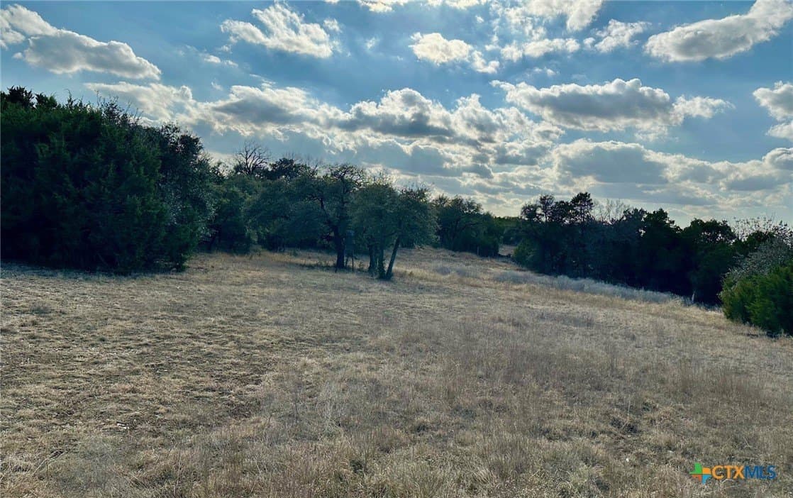 110 acres in Coryell County gallery image 4