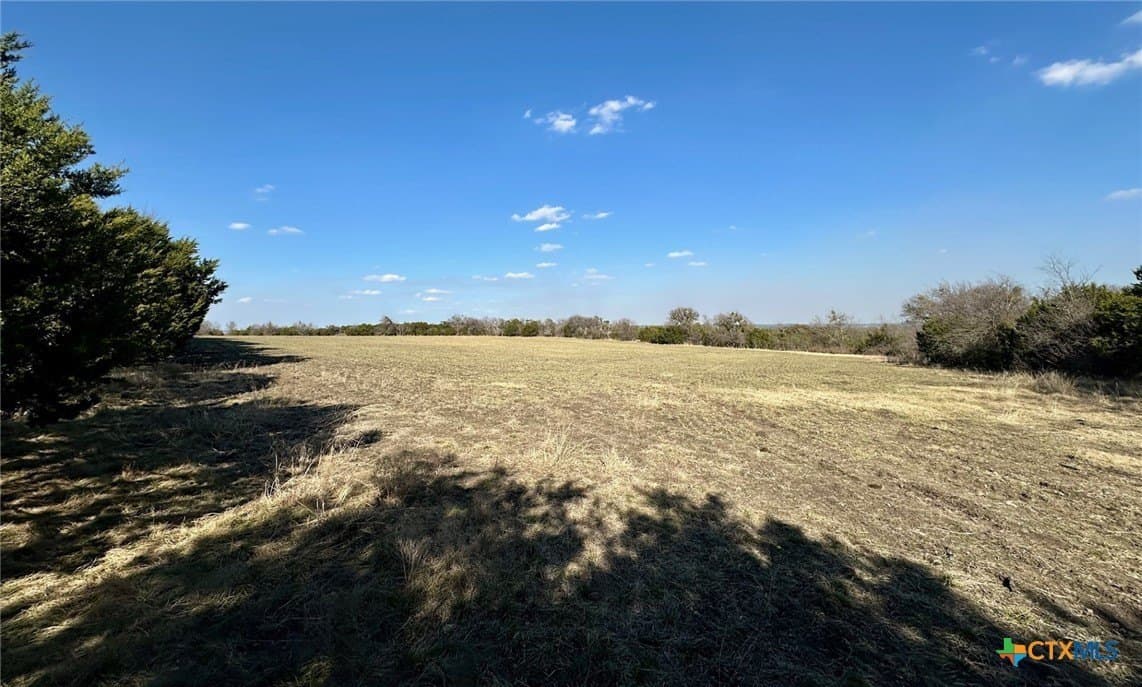 110 acres in Coryell County gallery image 3