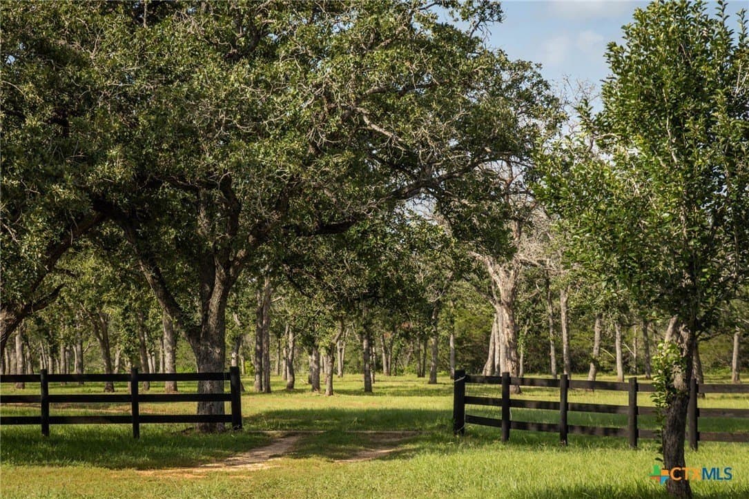 73.53 acres in Gonzales County - photo 7