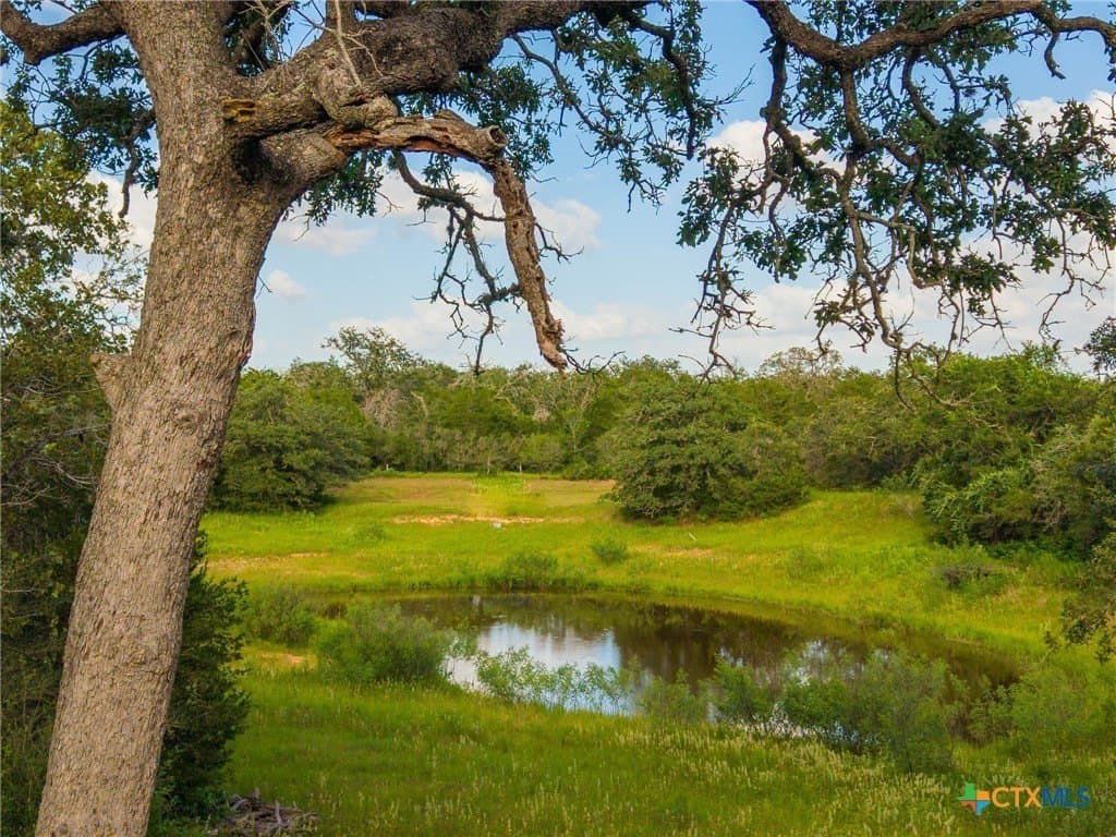 73.53 acres in Gonzales County - photo 16