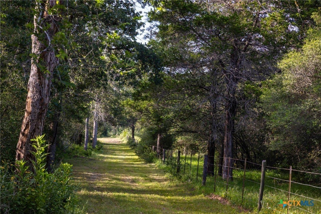 73.53 acres in Gonzales County - photo 10