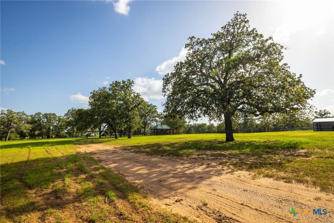 73.53 acres in Gonzales County - photo 20