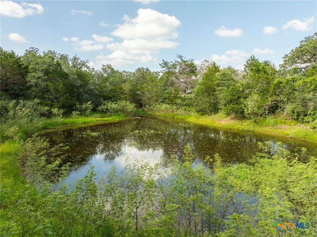 73.53 acres in Gonzales County - photo 13