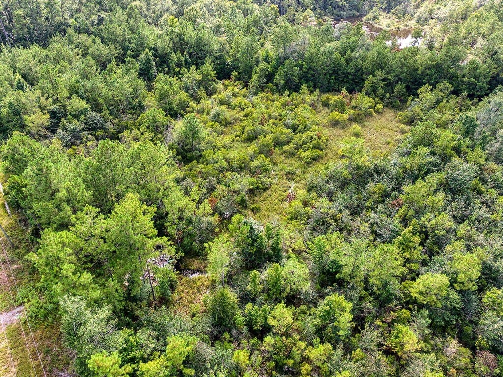 5.03 acres in Texas County