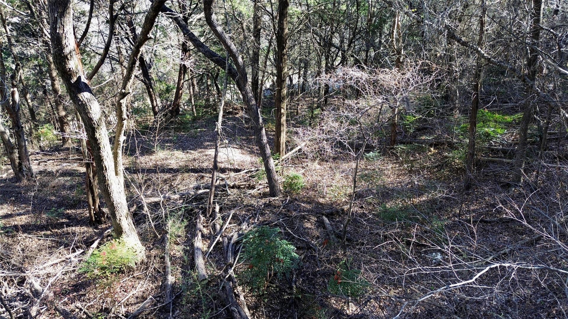 1.02 acres in Dallas County - photo 20