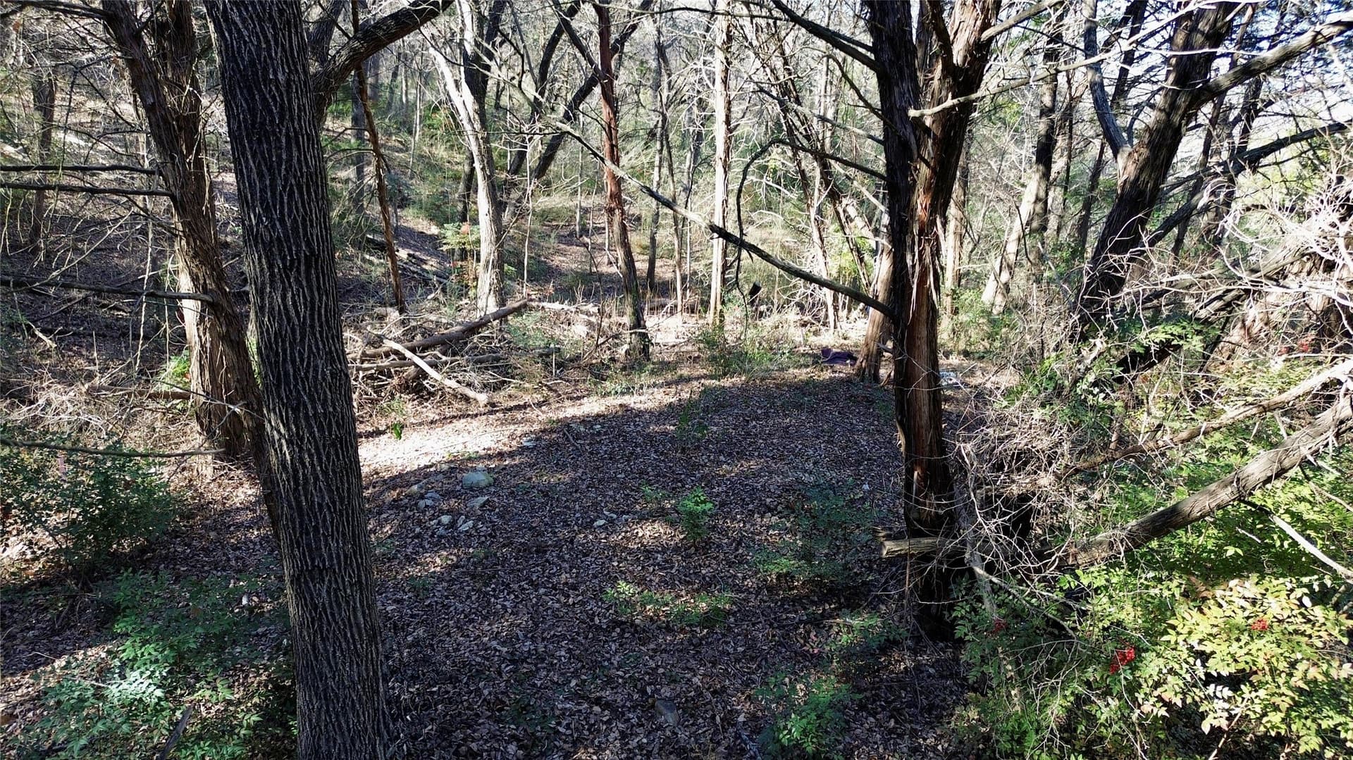 1.02 acres in Dallas County - photo 15