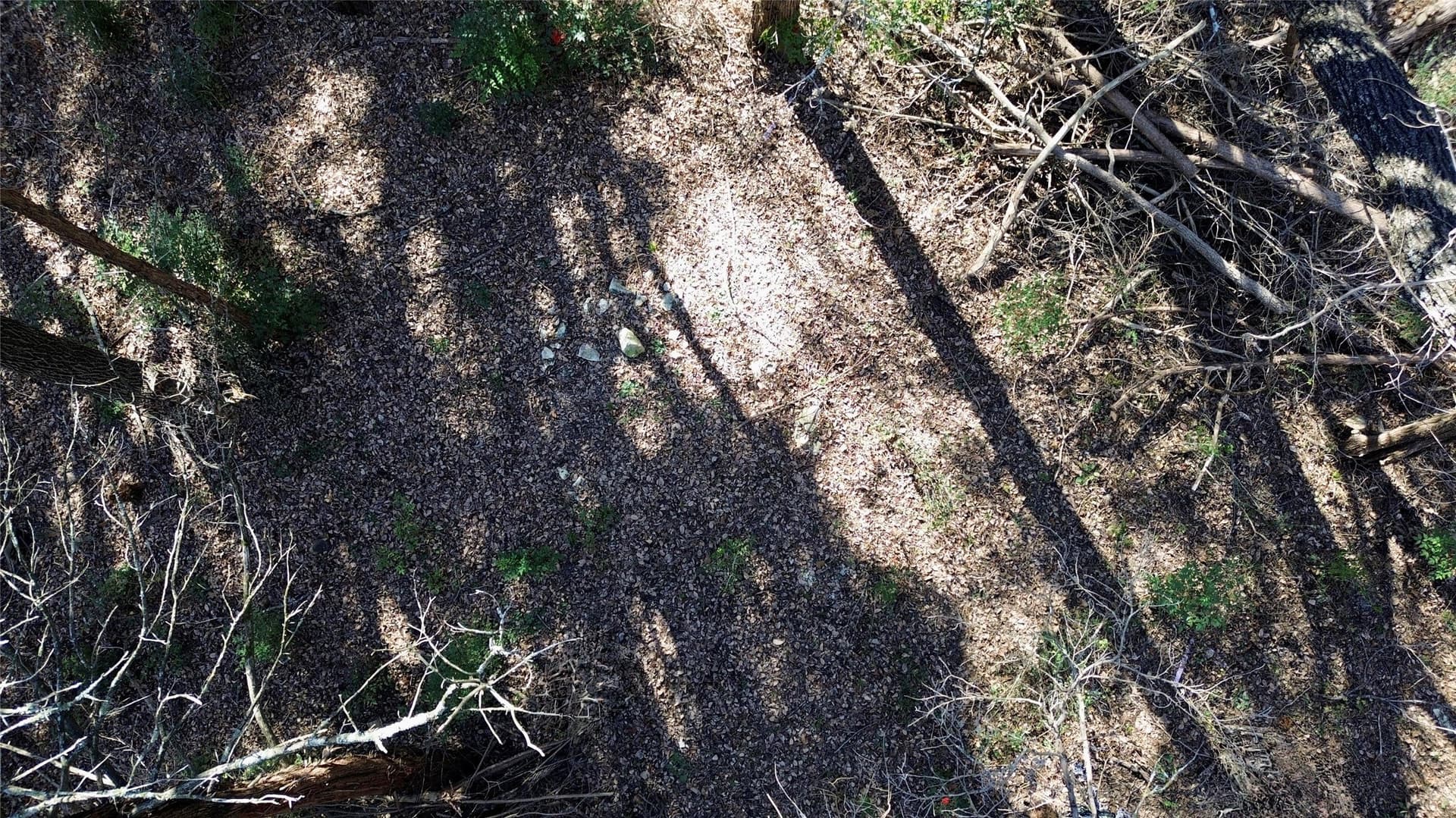 1.02 acres in Dallas County - photo 21