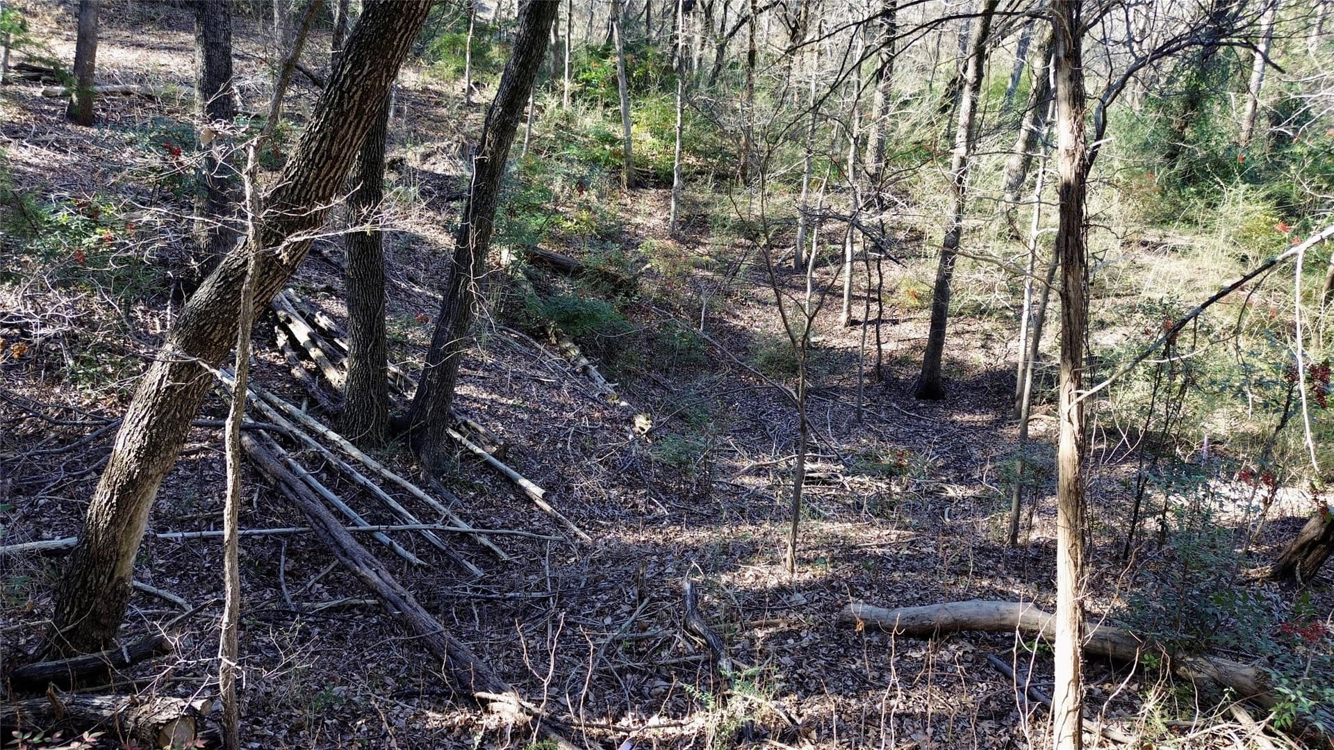 1.02 acres in Dallas County - photo 17