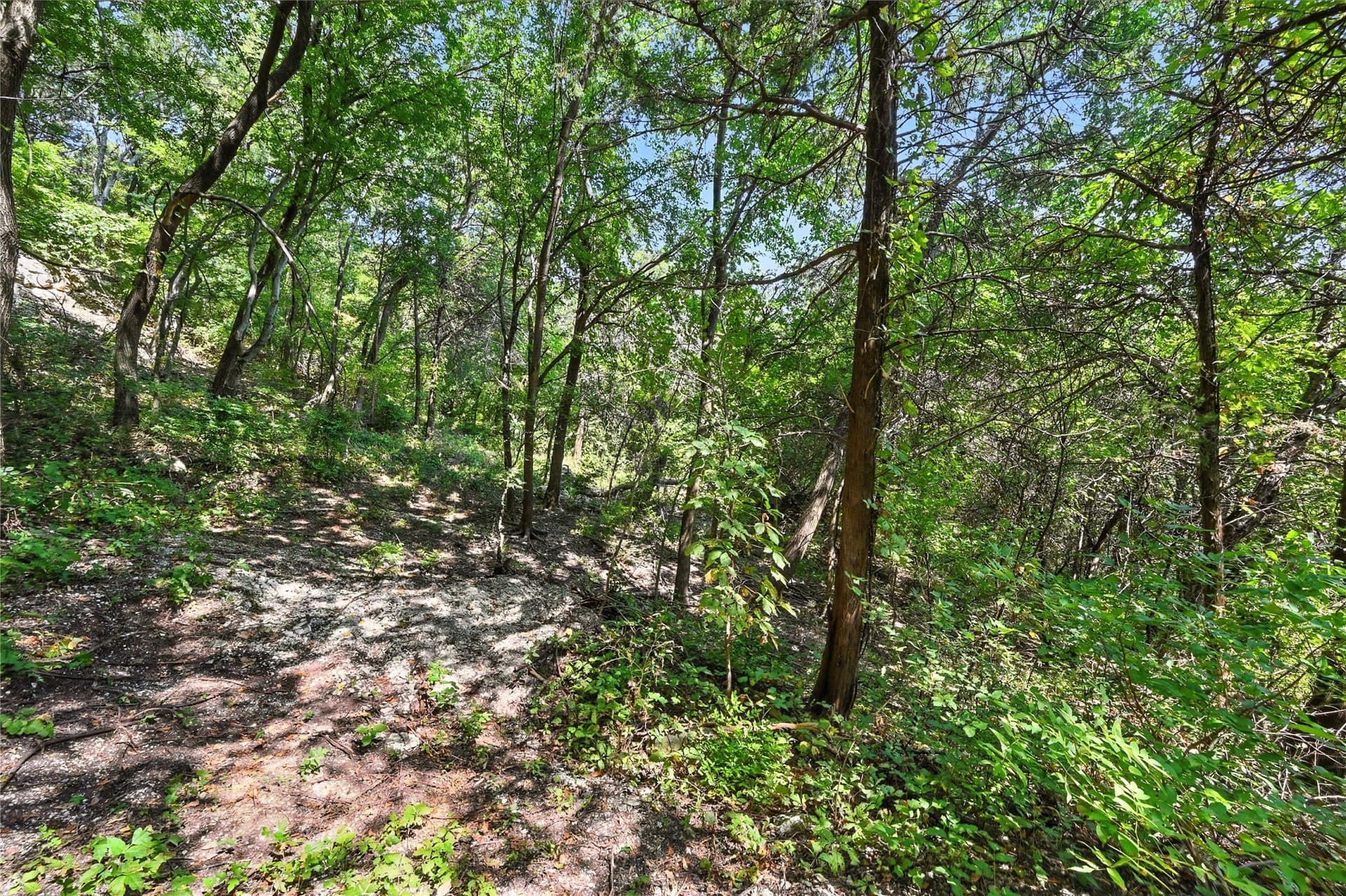 1.02 acres in Dallas County - photo 23