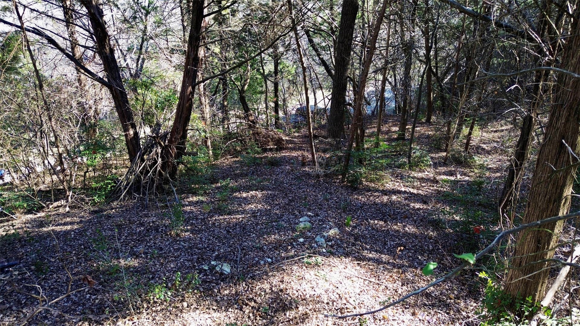1.02 acres in Dallas County - photo 13