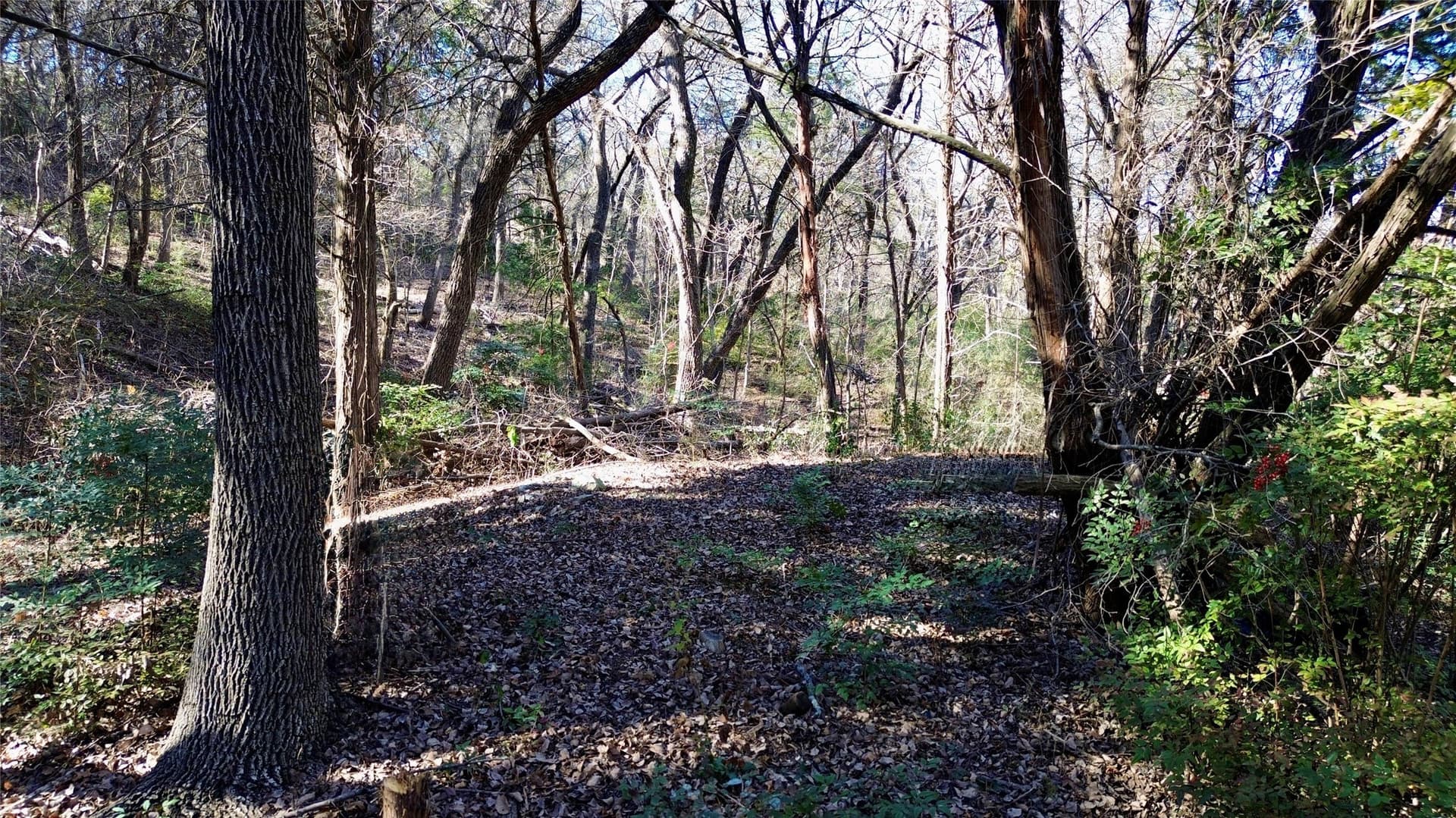 1.02 acres in Dallas County - photo 11