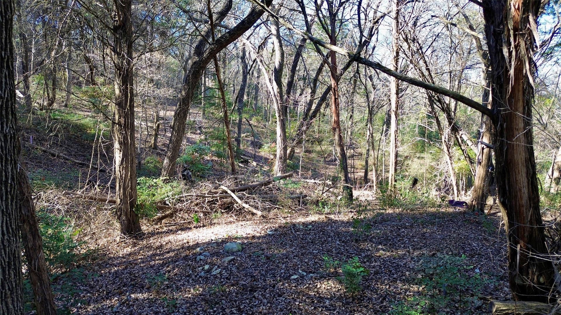1.02 acres in Dallas County - photo 16