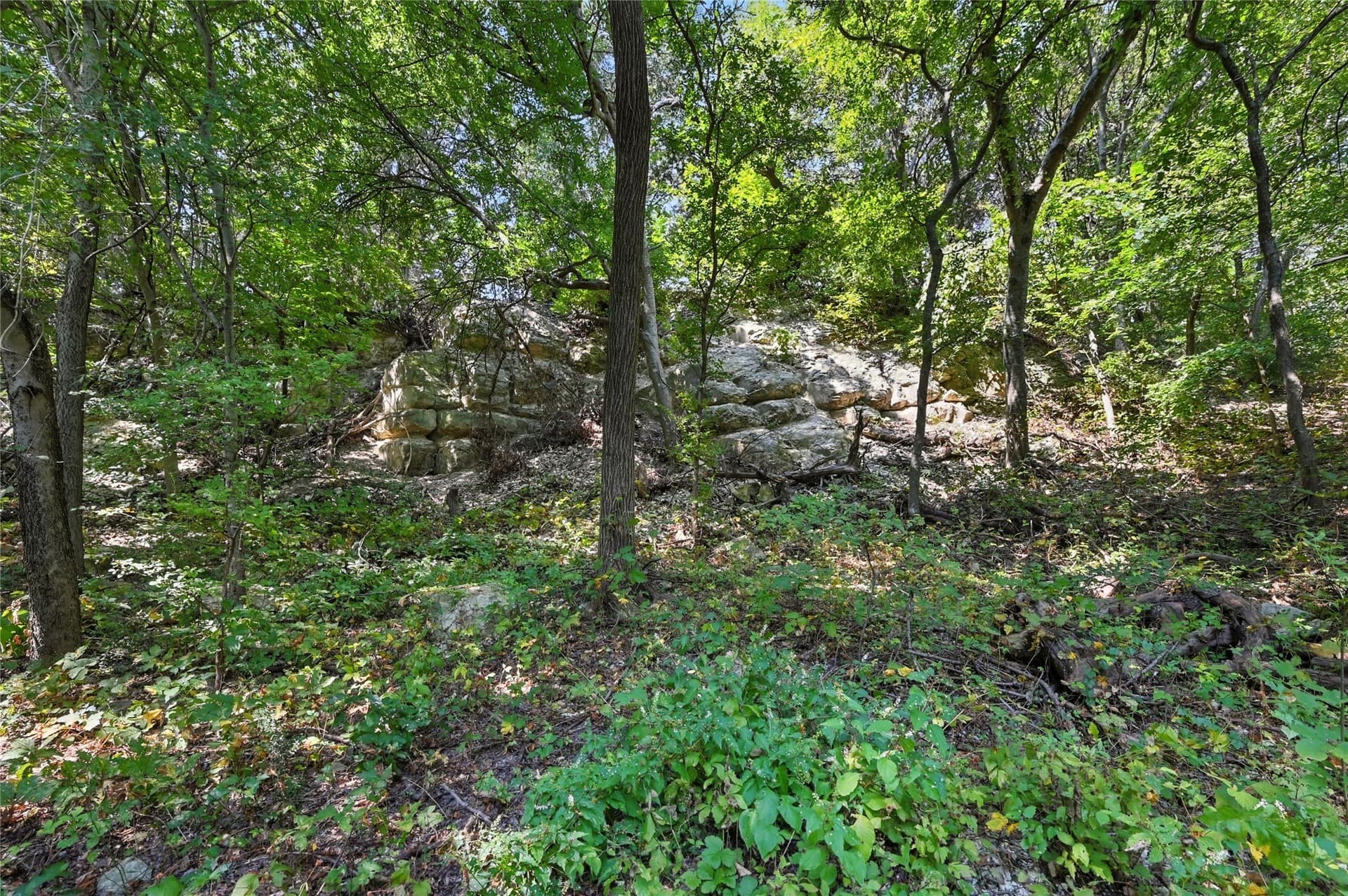 1.02 acres in Dallas County - photo 22