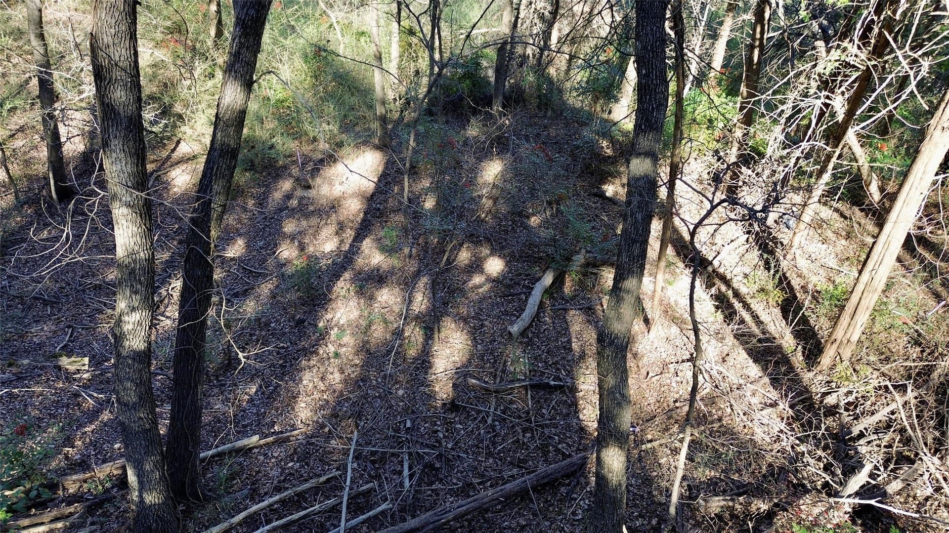 1.02 acres in Dallas County - photo 18