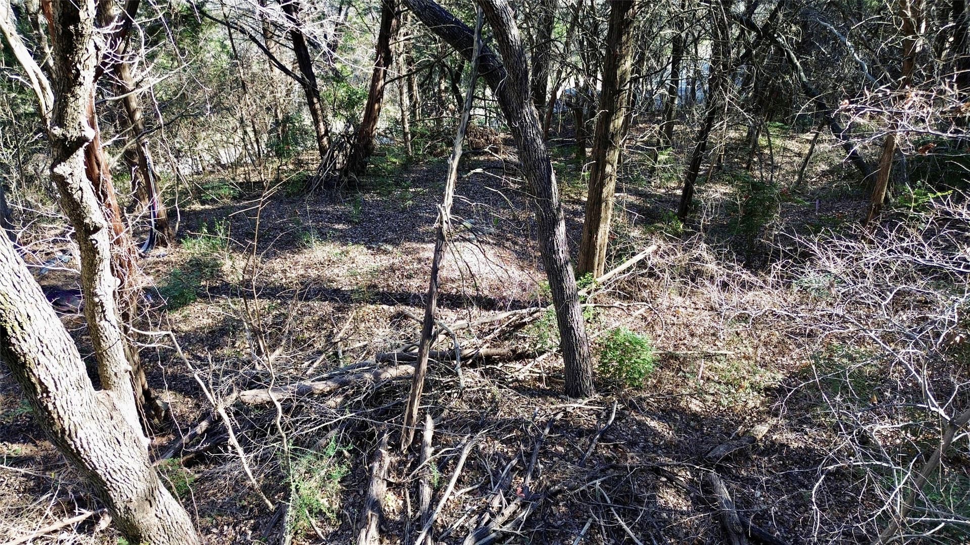 1.02 acres in Dallas County - photo 19