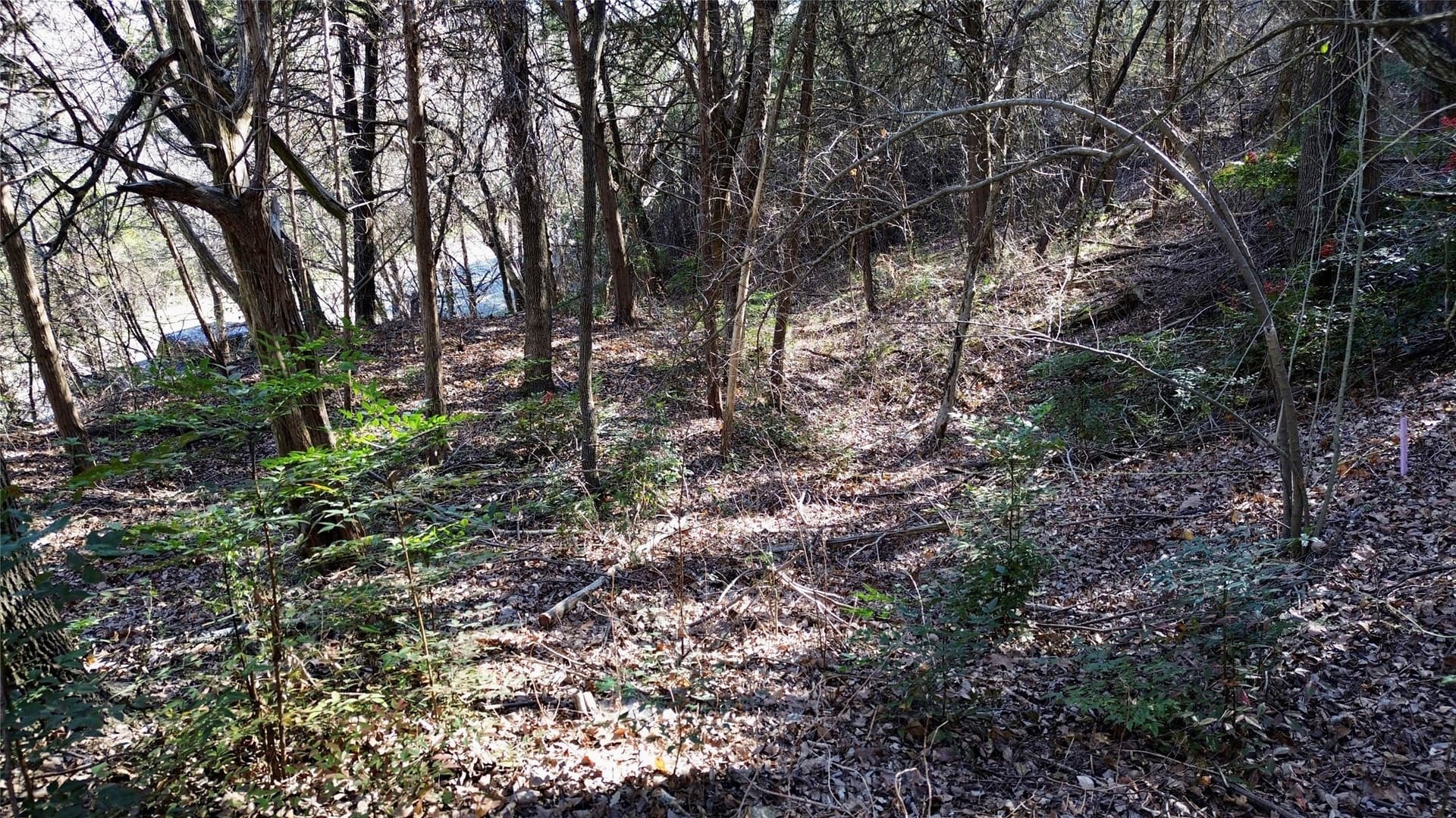 1.02 acres in Dallas County - photo 14