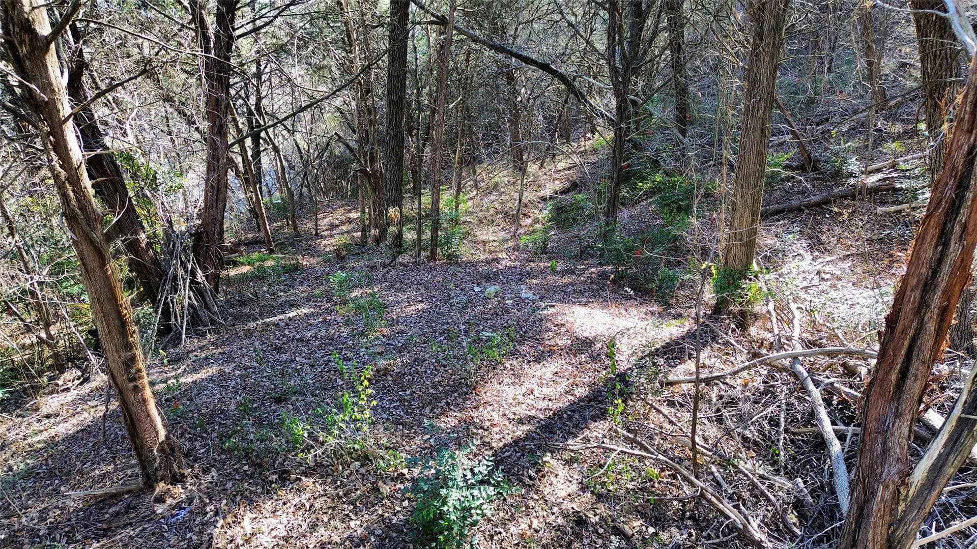1.02 acres in Dallas County - photo 12