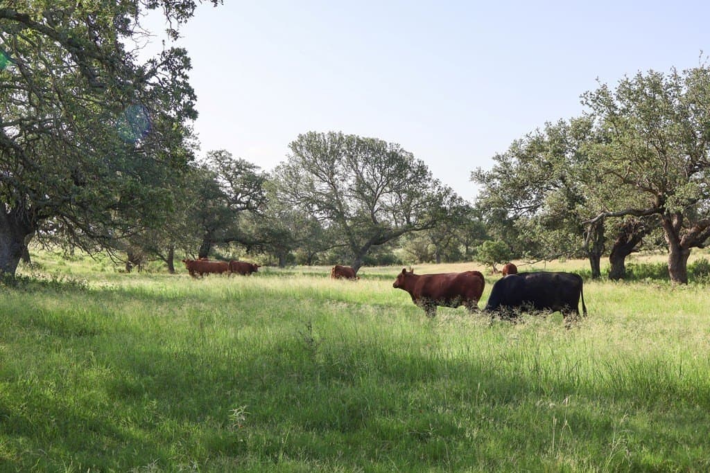 320 acres in McCulloch County - photo 58