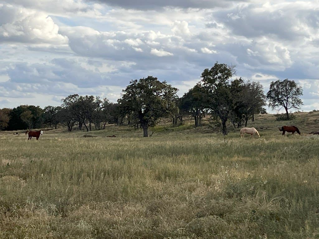 320 acres in McCulloch County - photo 3
