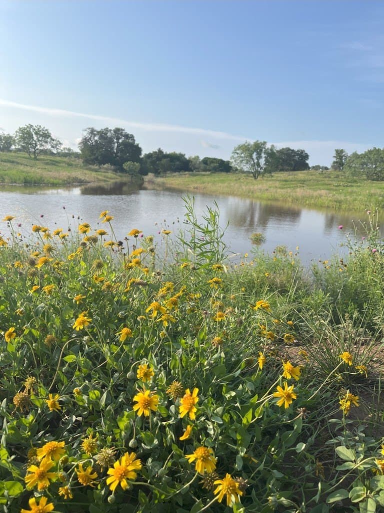 320 acres in McCulloch County - photo 10