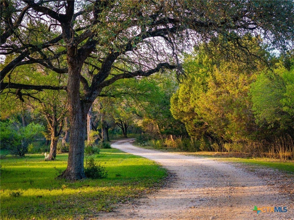 15.62 acres in Comal County gallery image 3
