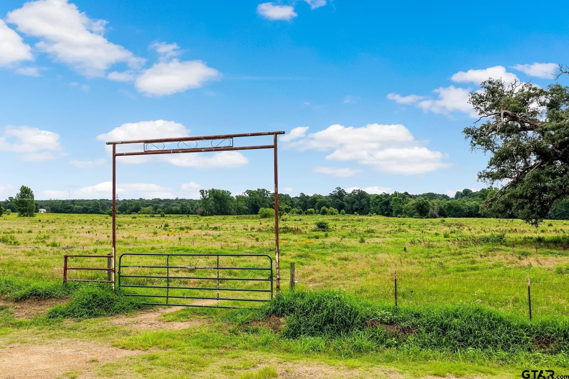 221.4 acres in Titus County - photo 23