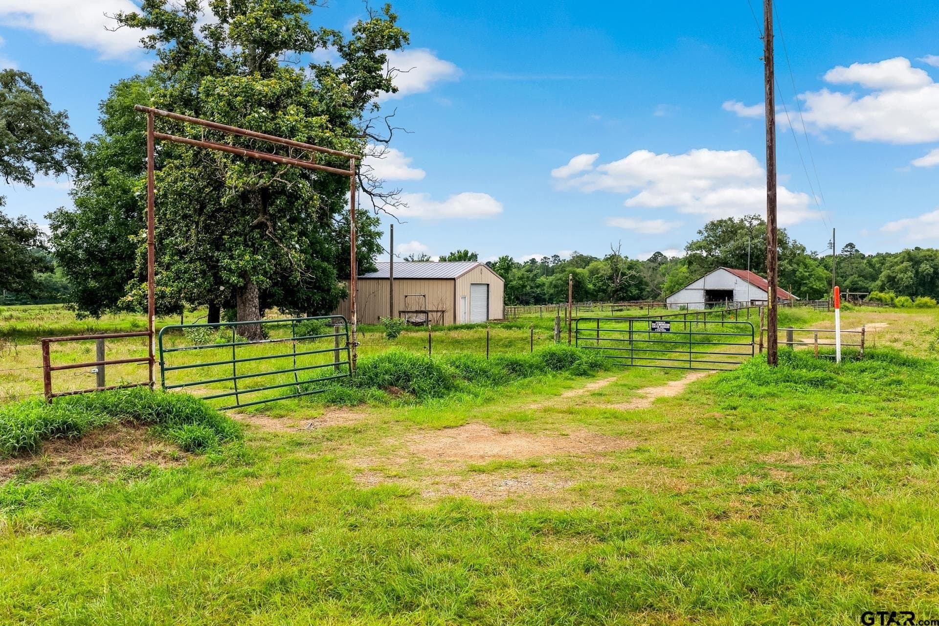 221.4 acres in Titus County - photo 8