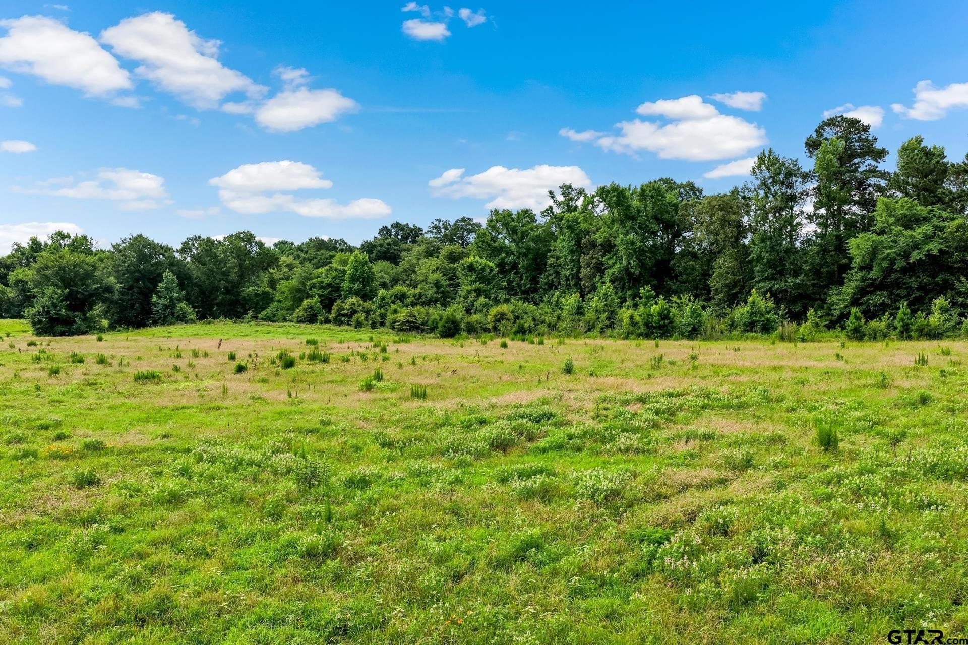 221.4 acres in Titus County - photo 25