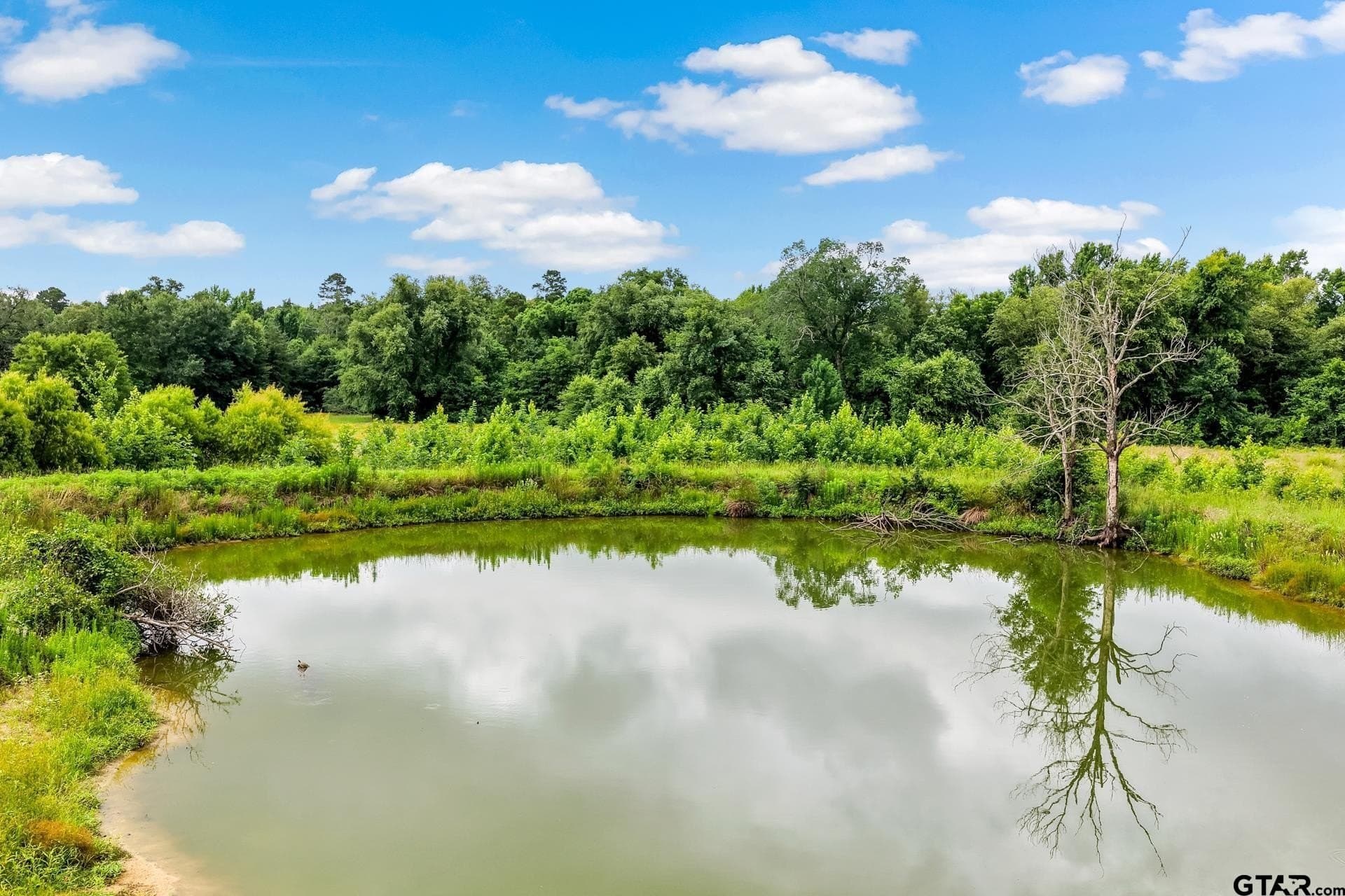 221.4 acres in Titus County - photo 15