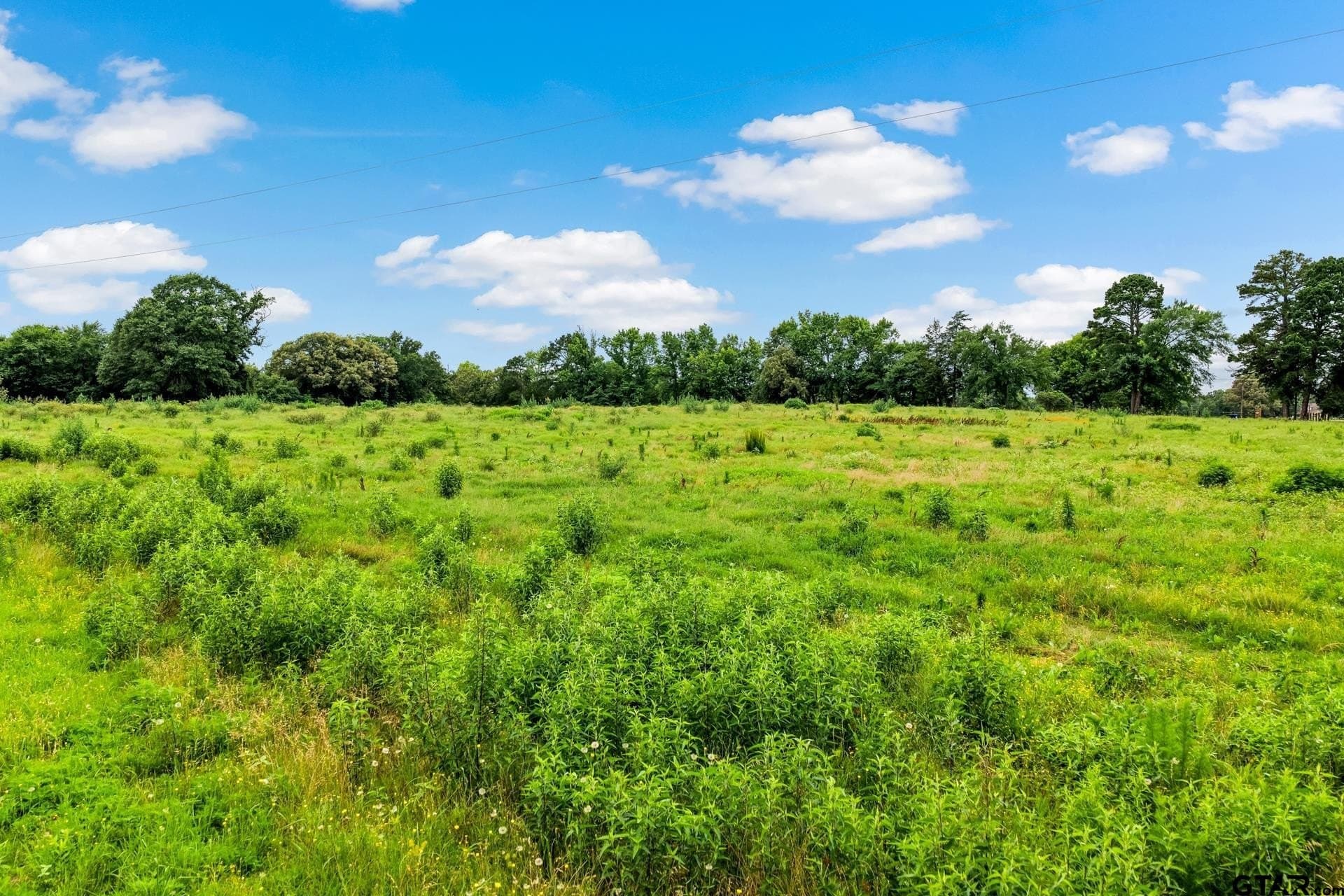 221.4 acres in Titus County - photo 26