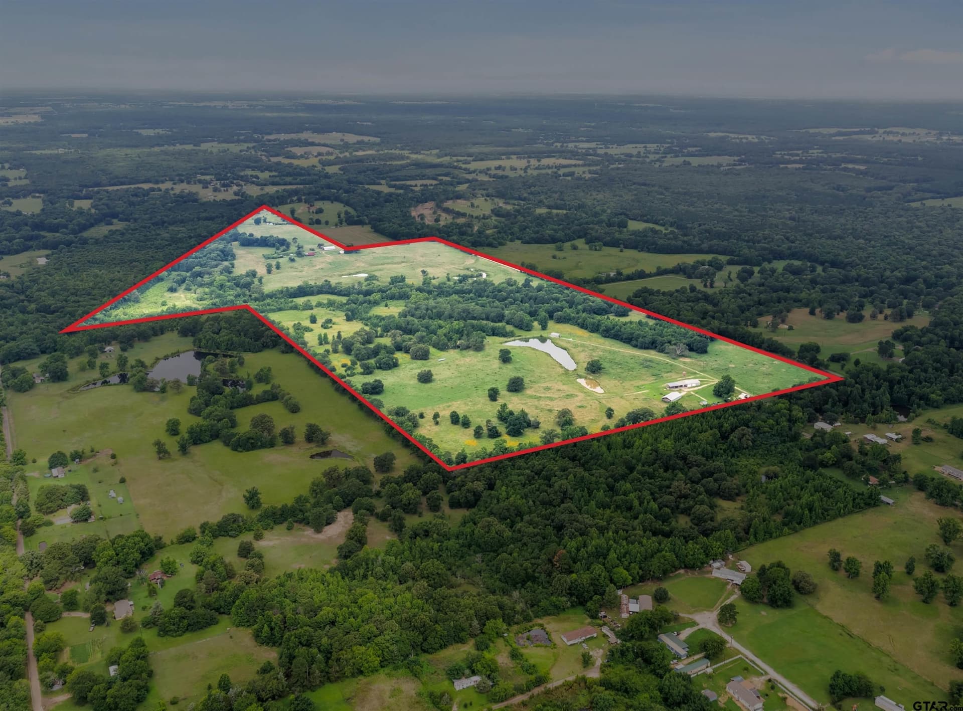 221.4 acres in Titus County gallery image 2