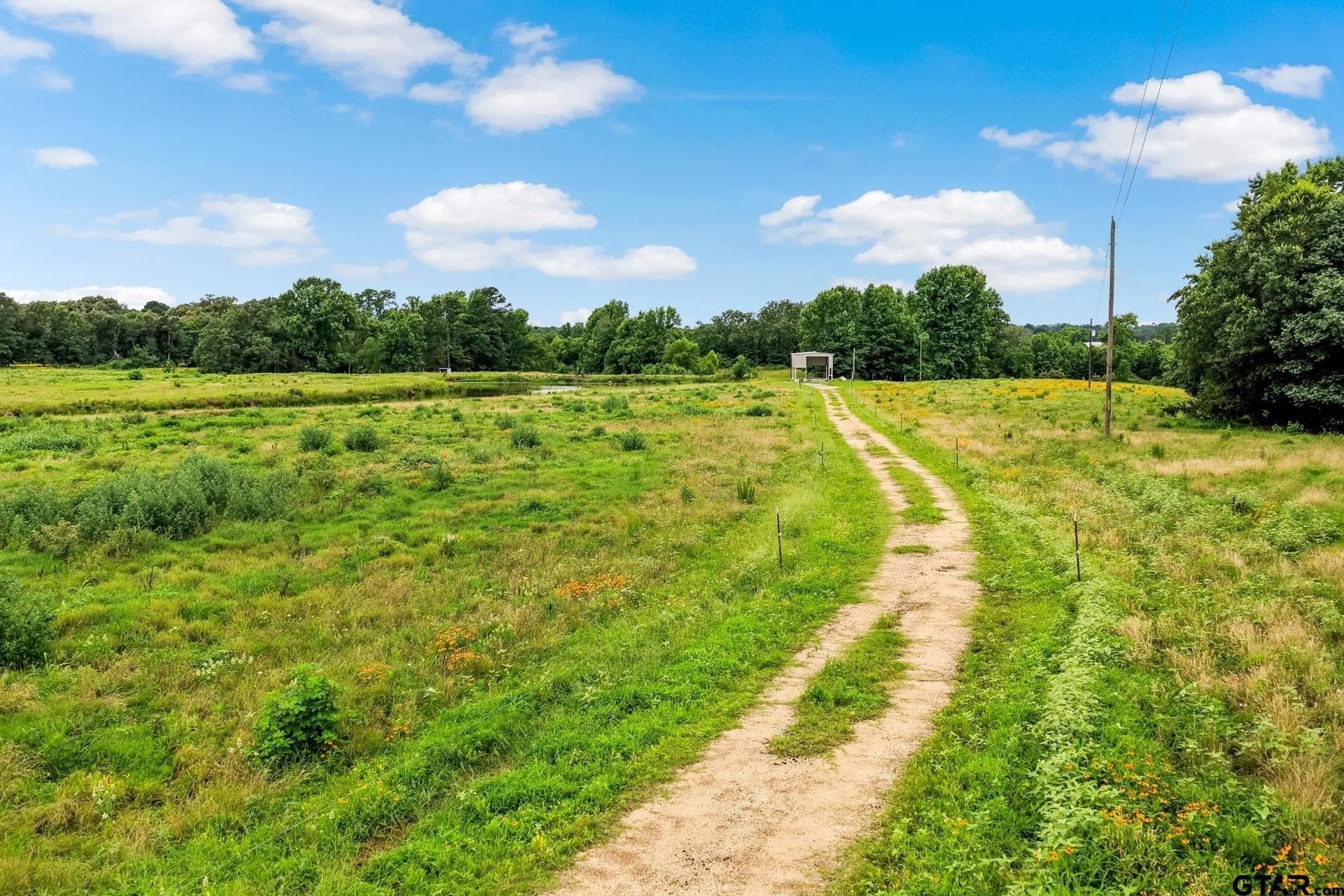221.4 acres in Titus County - photo 18