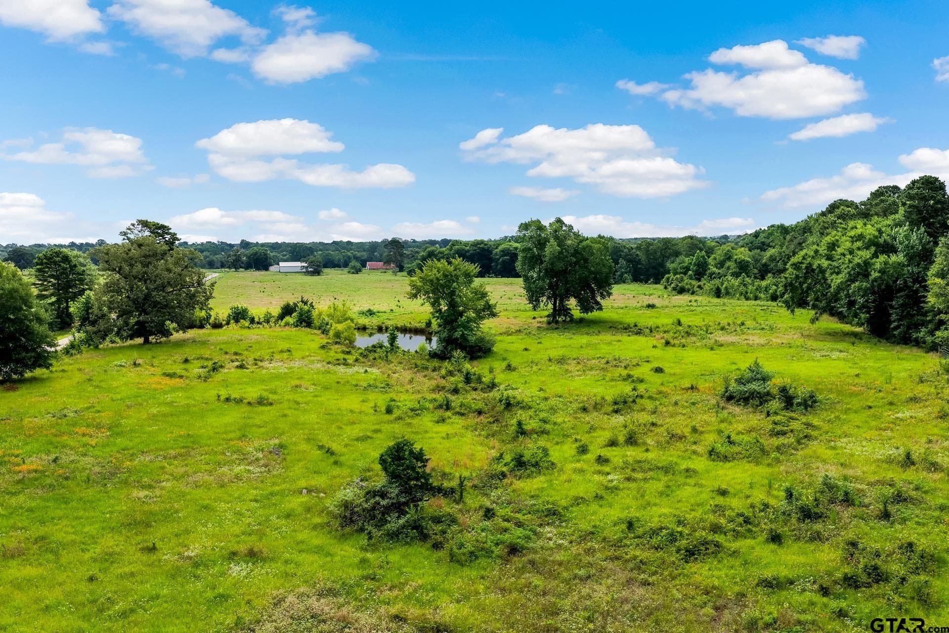 221.4 acres in Titus County - photo 14
