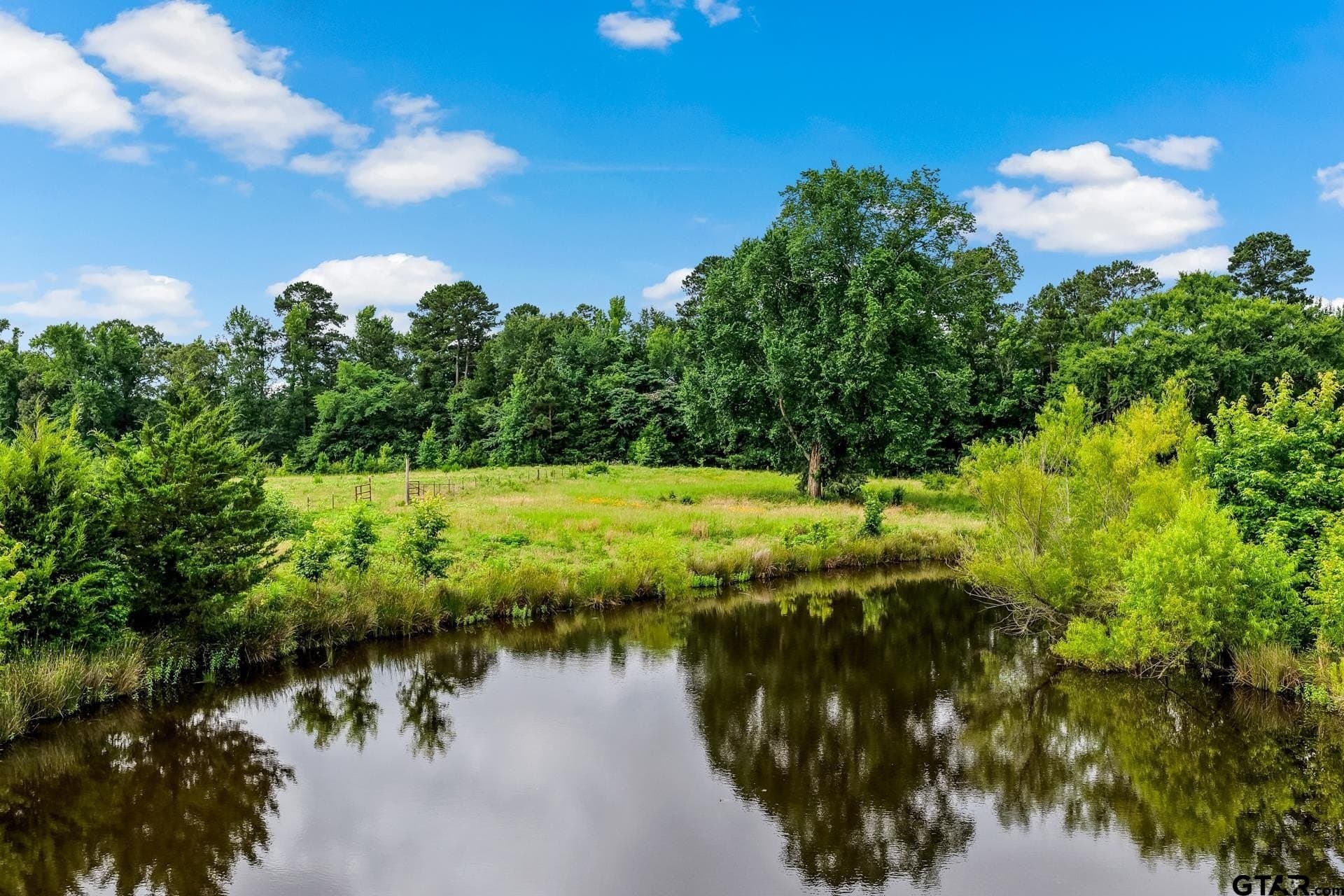 221.4 acres in Titus County - photo 12