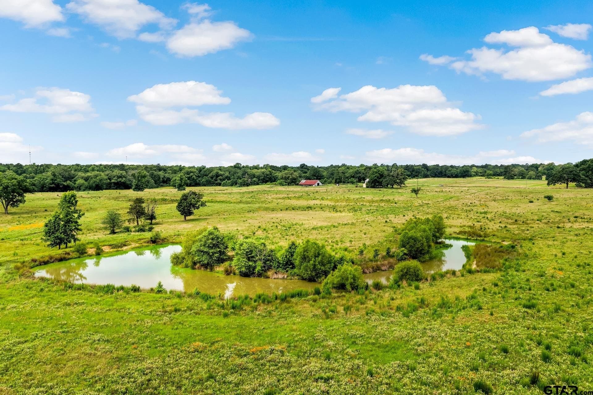 221.4 acres in Titus County - photo 17