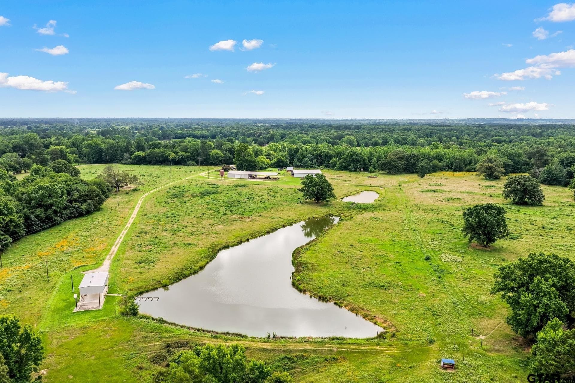 221.4 acres in Titus County - photo 9