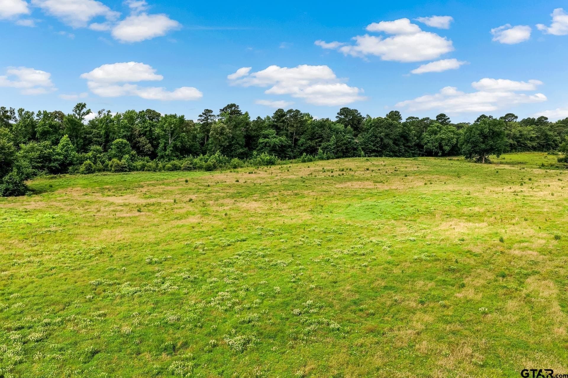 221.4 acres in Titus County - photo 24