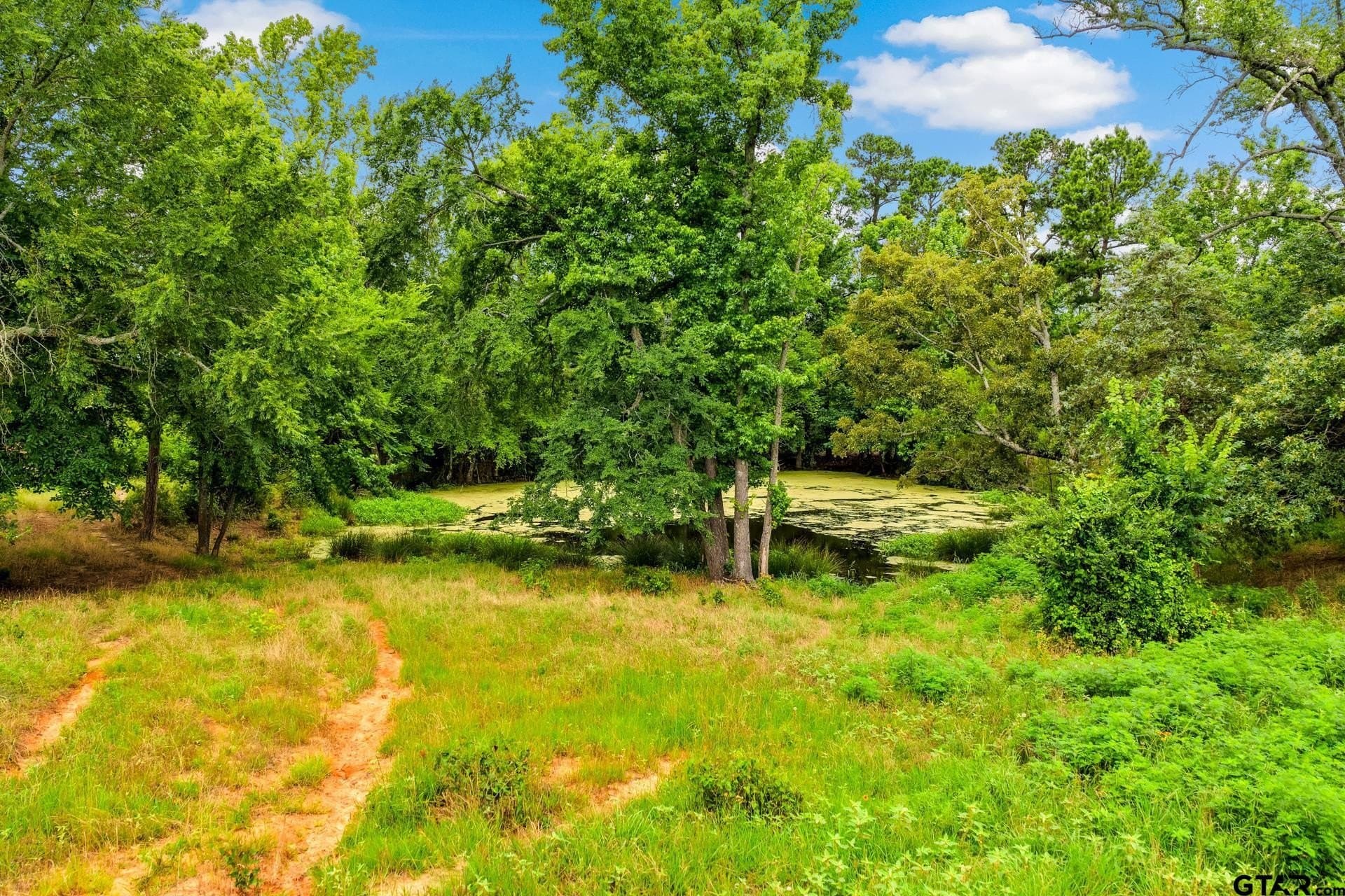221.4 acres in Titus County - photo 22